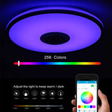 Smart Bluetooth Ceiling Lamp