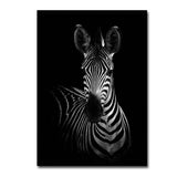 Black and white animal decorative painting