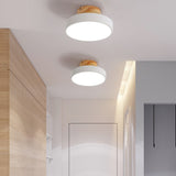 Simple And Modern Ceiling Lamp