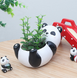 Creative Cartoon Animal Succulent Planter Pots