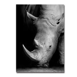 Black and white animal decorative painting