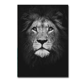 Black and white animal decorative painting