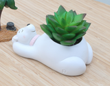 Creative Cartoon Animal Succulent Planter Pots