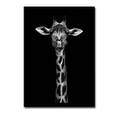 Black and white animal decorative painting