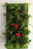 Vertical Garden Pocket Panels