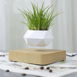 Air Bonsai Floating Plant Desk Decor - Senseandtrendz